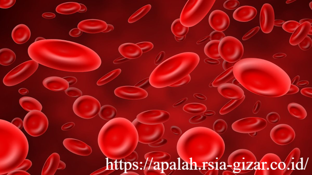 Apa yang Terjadi Jka Hb Rendah? Begini Efeknya
