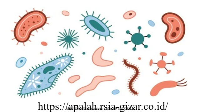 Resistensi Antibodi: Ancaman Senyap yang Harus Kita Lawan